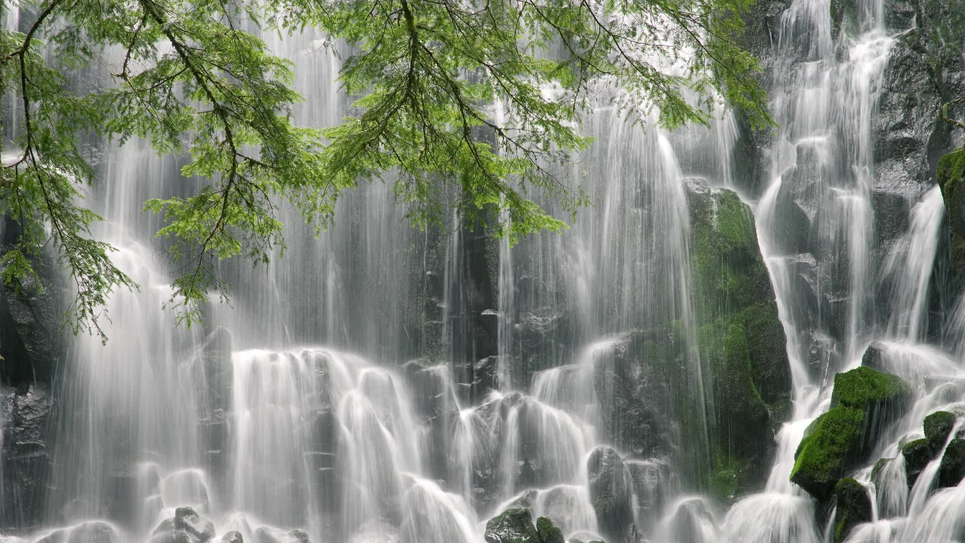 世界马术赛事检疫与运输合规手册第47版更新，世界马术大赛